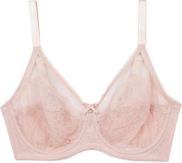 Wacoal Retro Chic Unlined Mesh Full Coverage Underwire Bra, 855186 Soutien-Gorge à Couverture Totale, Transparent, poussière de Rose, 95G Femme-4
