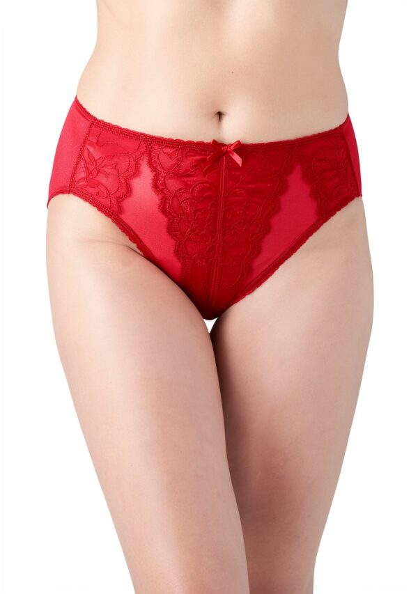 Culotte Wacoal couverture complète maille dos cerise femme