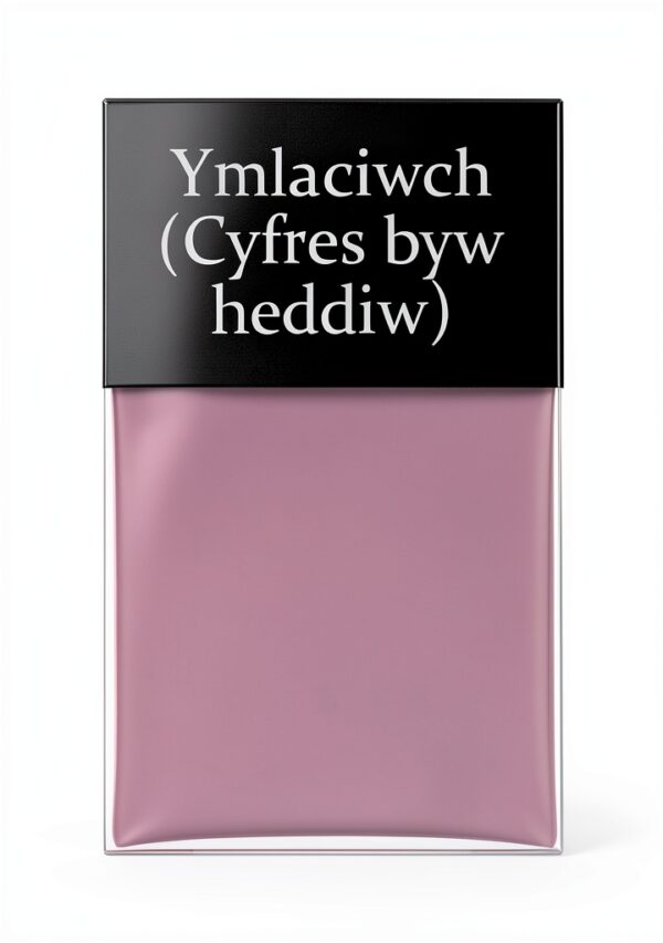 Y Lolfa Livre Gallois - 108 pages - Édition 1985 - ISBN 978-0862431082-0